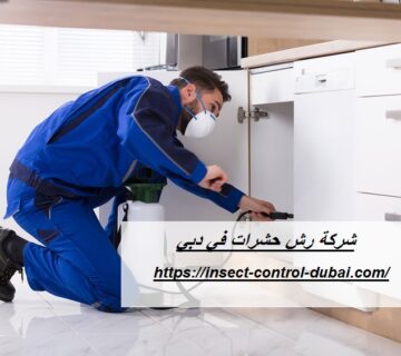 شركة رش حشرات في دبي