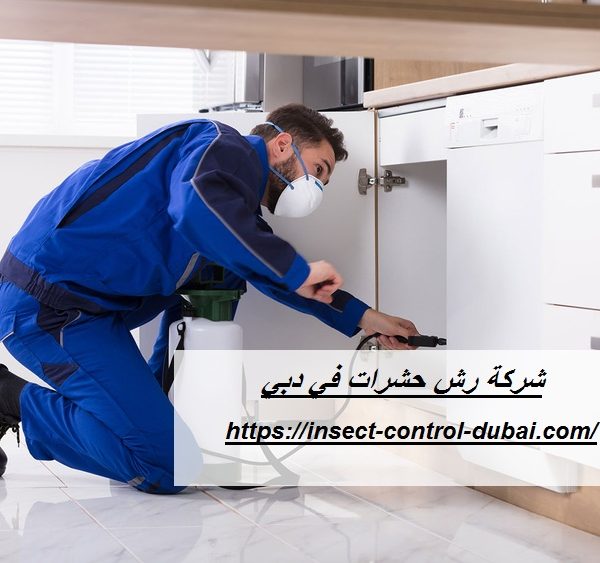 شركة رش حشرات في دبي