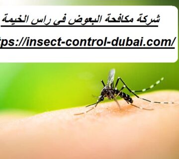شركة مكافحة البعوض في راس الخيمة