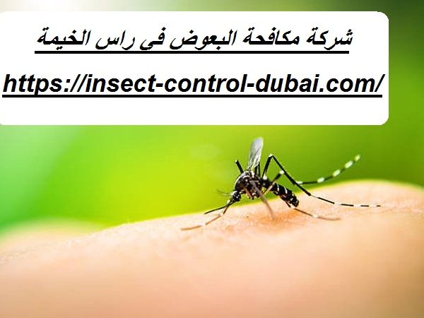 شركة مكافحة البعوض في راس الخيمة
