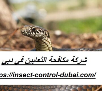شركة مكافحة الثعابين في دبي