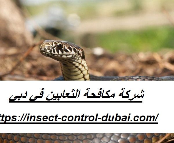 شركة مكافحة الثعابين في دبي