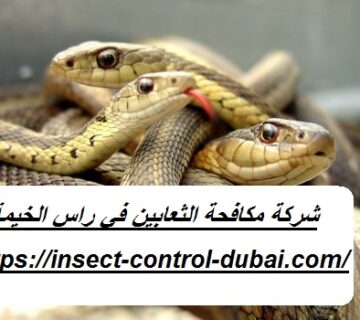شركة مكافحة الثعابين في راس الخيمة