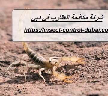 شركة مكافحة العقارب في دبي