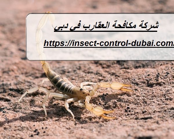 شركة مكافحة العقارب في دبي
