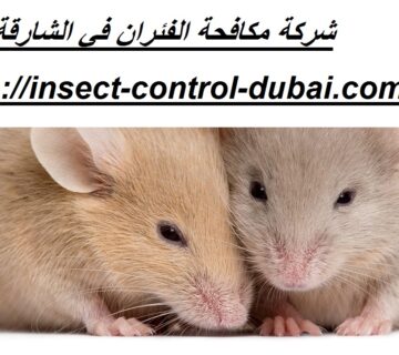 شركة مكافحة الفئران في الشارقة