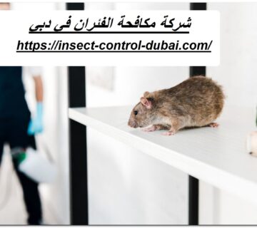 شركة مكافحة الفئران في دبي