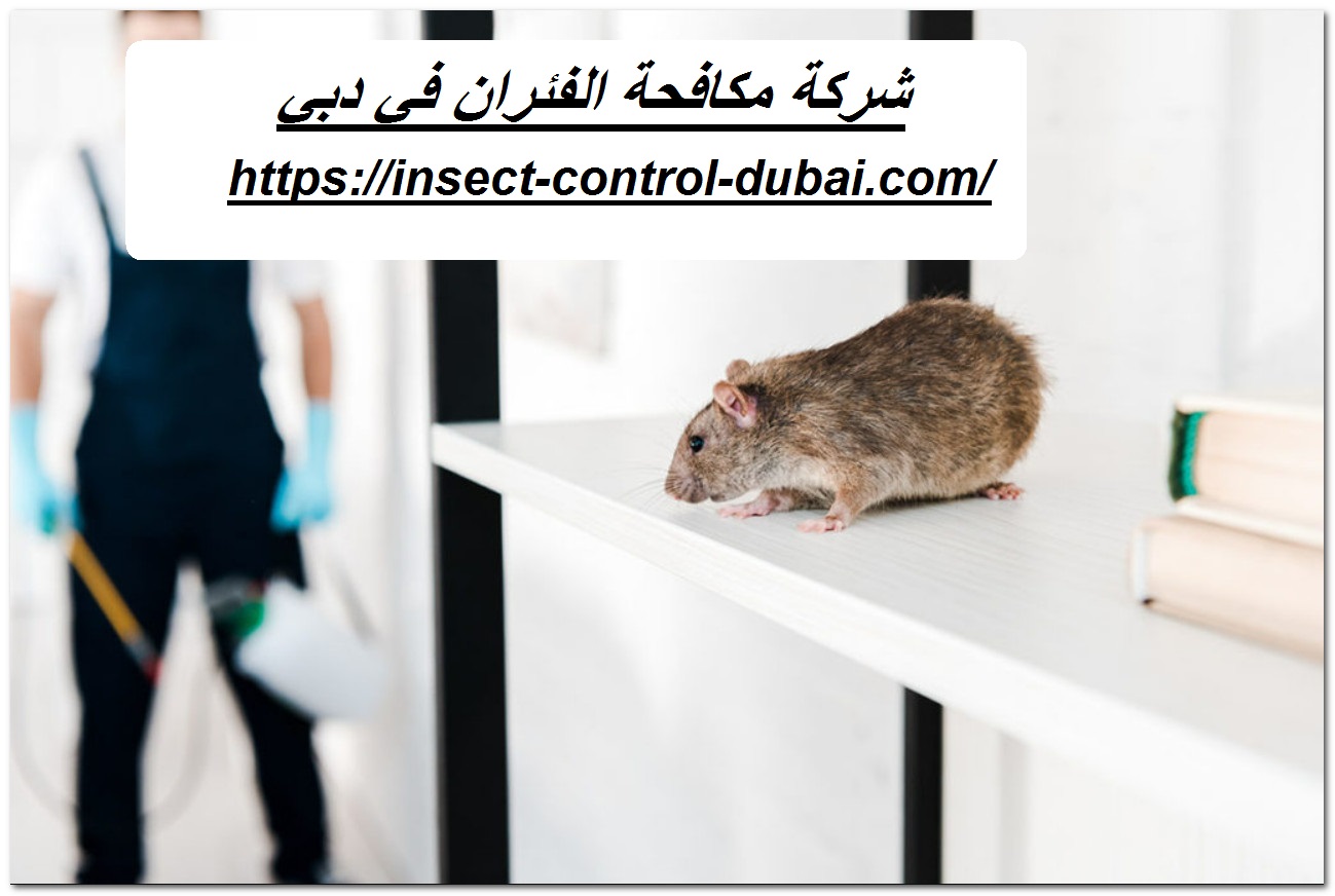 شركة مكافحة الفئران في دبي