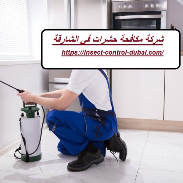 شركة مكافحة حشرات في الشارقة