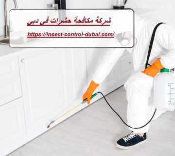 شركة مكافحة حشرات في دبي