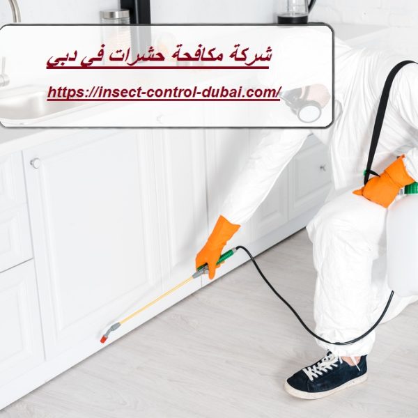 شركة مكافحة حشرات في دبي