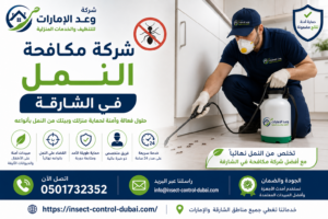 شركة مكافحة النمل في الشارقة