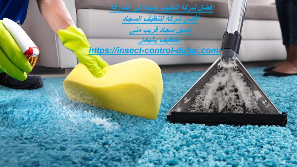 أفضل شركة تنظيف سجاد فى الشارقة