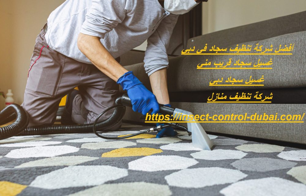 أفضل شركة تنظيف سجاد في دبي