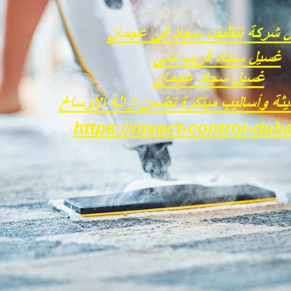 أفضل شركة تنظيف سجاد في عجمان