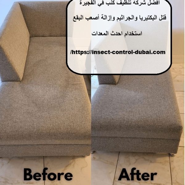 افضل شركة تنظيف كنب في الفجيرة
