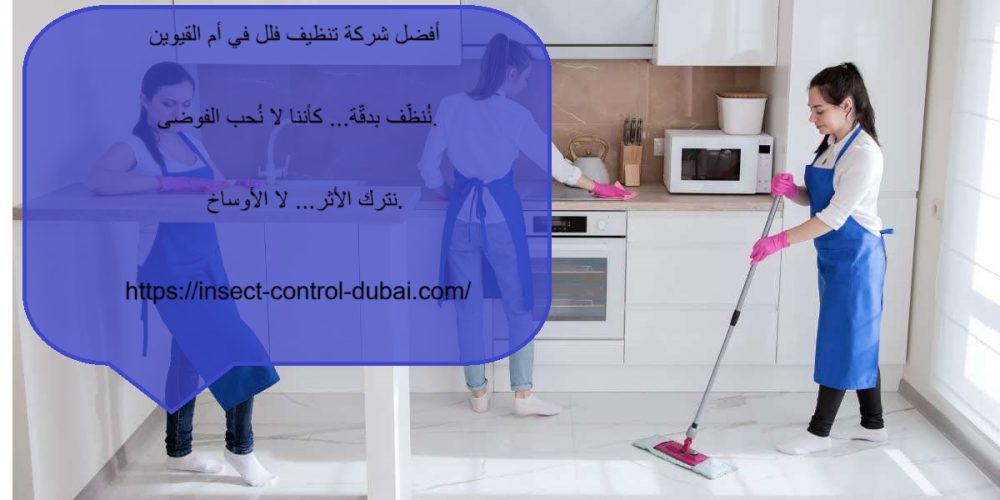 أفضل شركة تنظيف فلل في أم القيوين