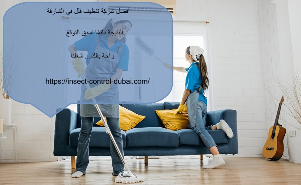 أفضل شركة تنظيف فلل في الشارقة