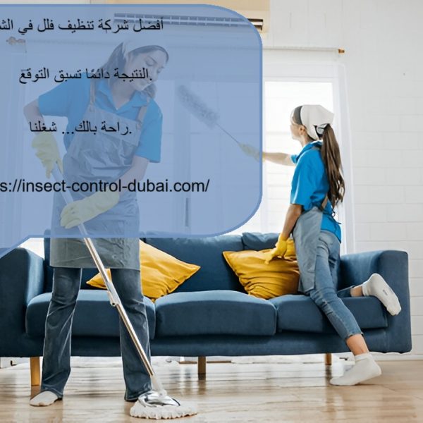 أفضل شركة تنظيف فلل في الشارقة