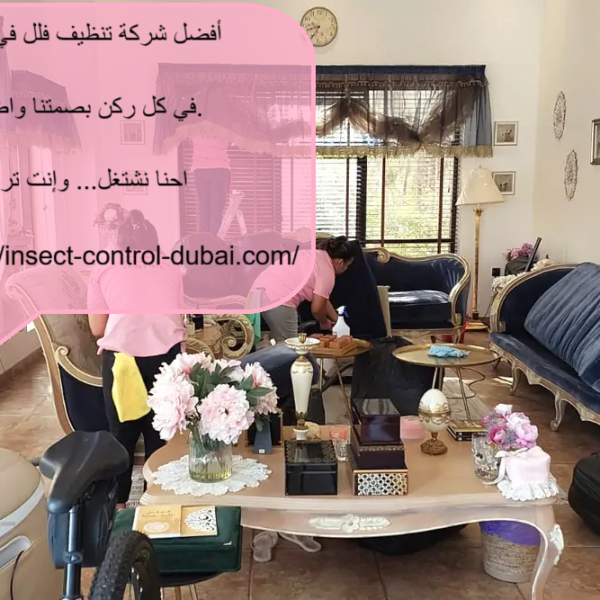 أفضل شركة تنظيف فلل في العين