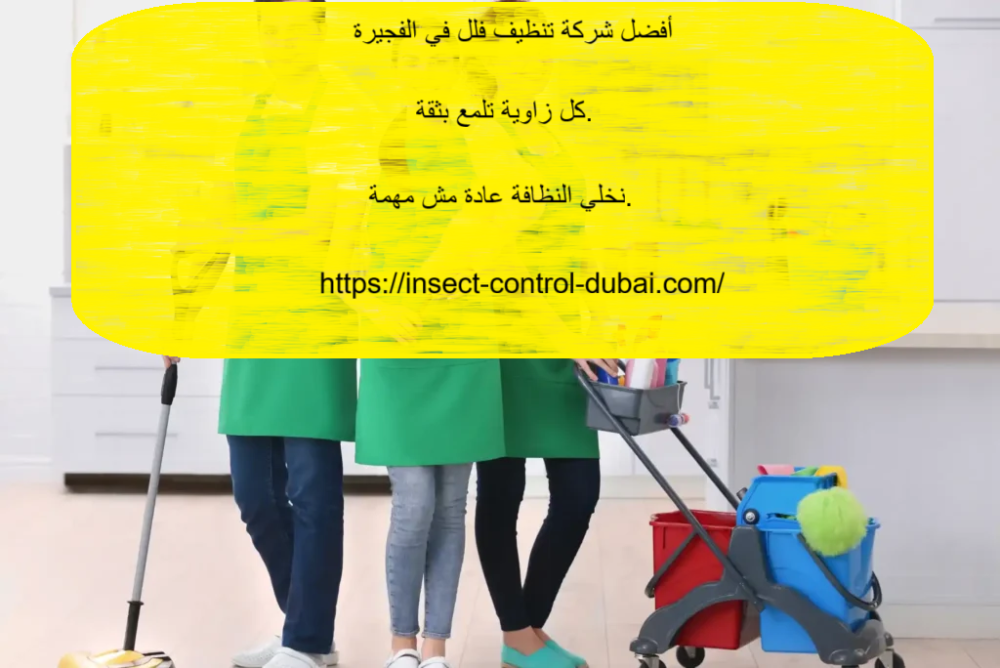 أفضل شركة تنظيف فلل في الفجيرة