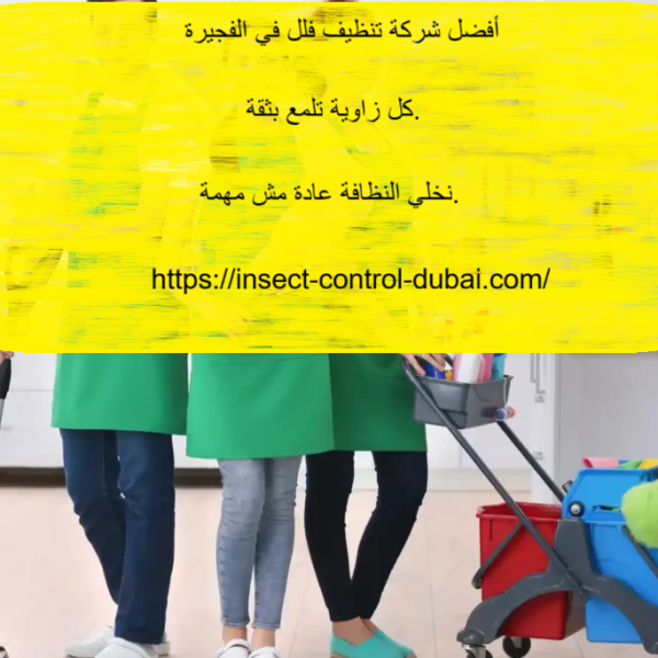 أفضل شركة تنظيف فلل في الفجيرة