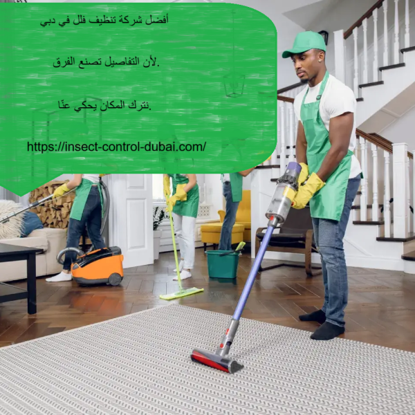 أفضل شركة تنظيف فلل في دبي