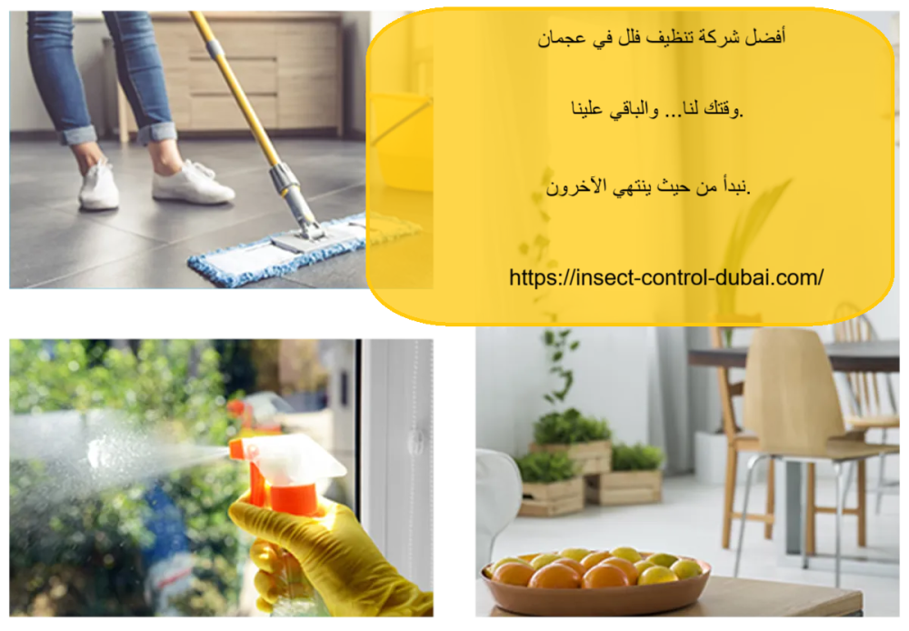 أفضل شركة تنظيف فلل في عجمان