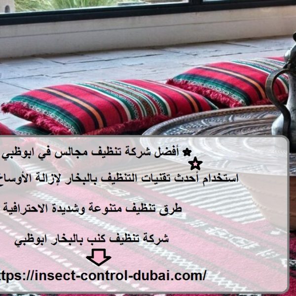 أفضل شركة تنظيف مجالس في ابوظبي