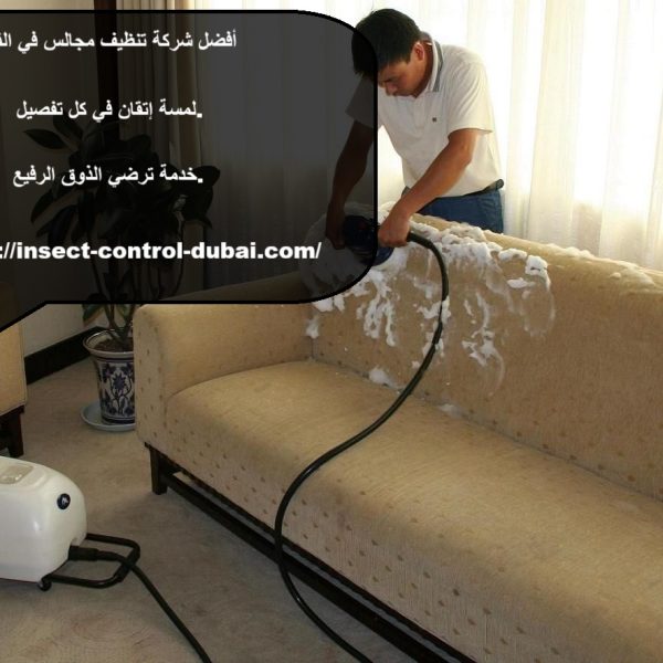 أفضل شركة تنظيف مجالس في الفجيرة