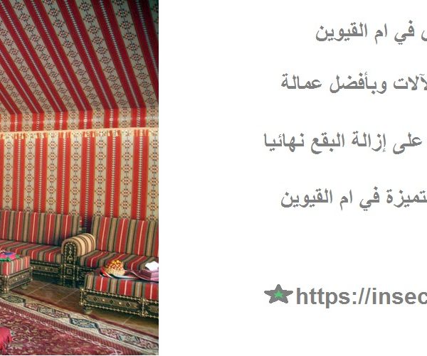 أفضل شركة تنظيف مجالس في ام القيوين