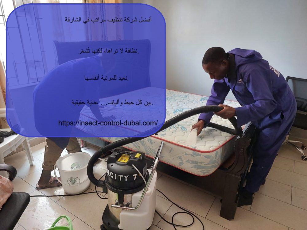 أفضل شركة تنظيف مراتب في الشارقة
