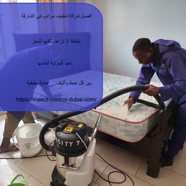 أفضل شركة تنظيف مراتب في الشارقة