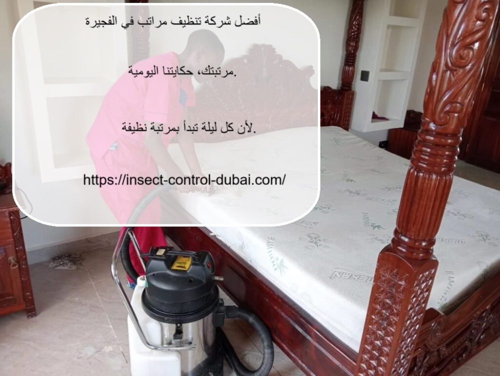 أفضل شركة تنظيف مراتب في الفجيرة
