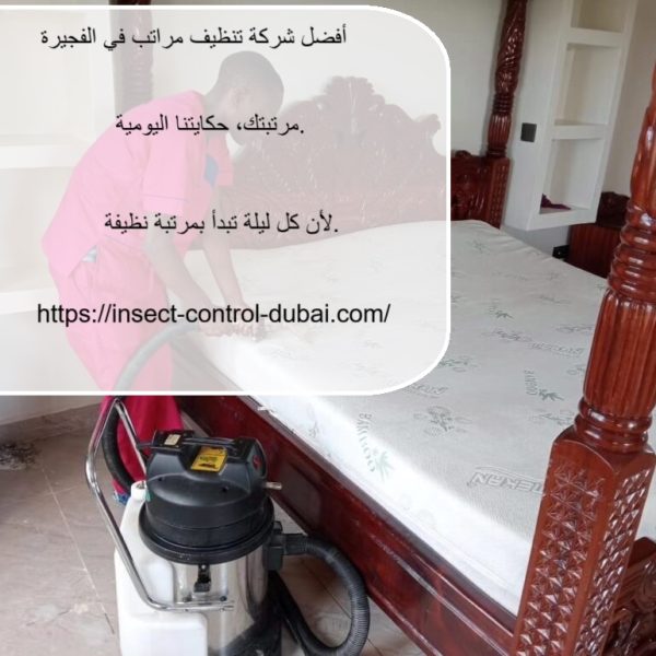 أفضل شركة تنظيف مراتب في الفجيرة