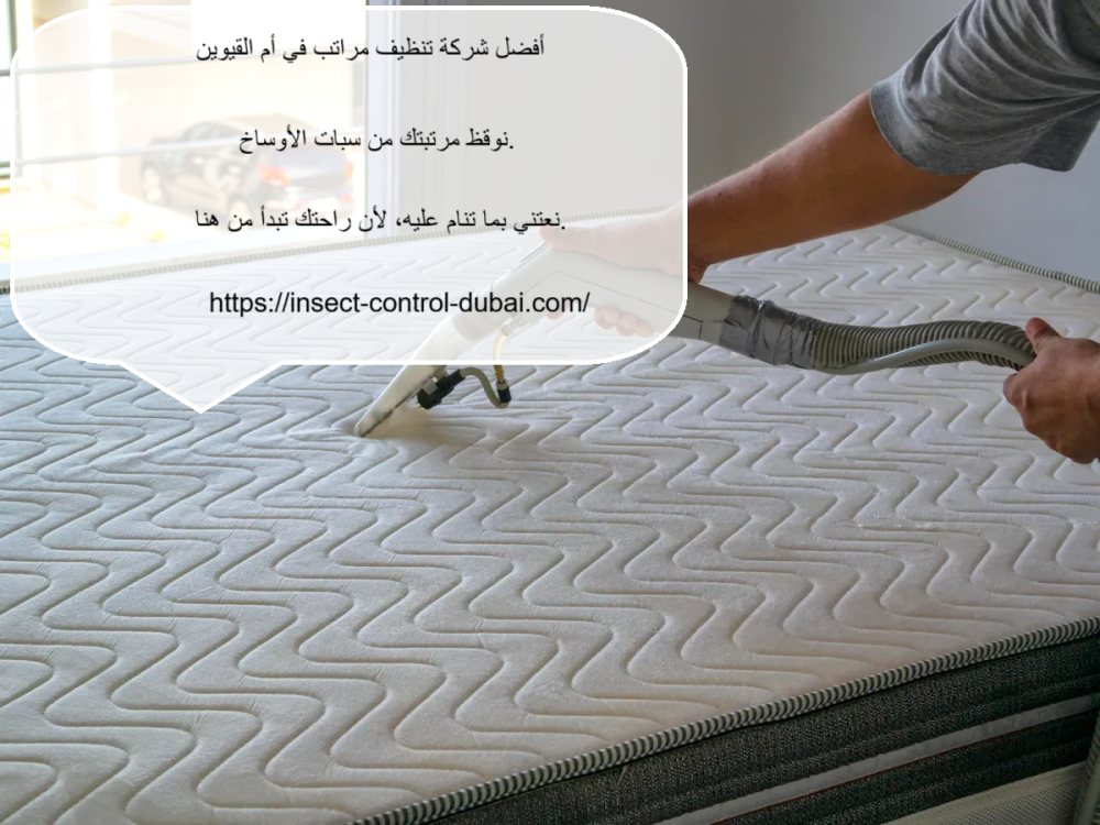 أفضل شركة تنظيف مراتب في ام القيوين