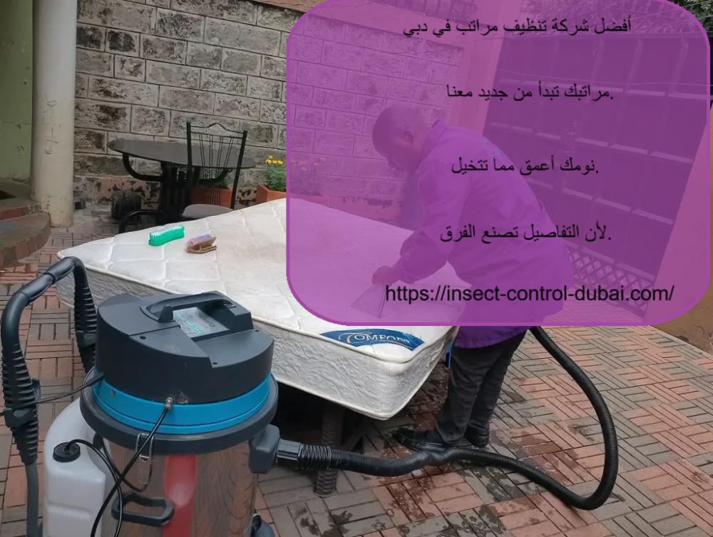 أفضل شركة تنظيف مراتب في دبي