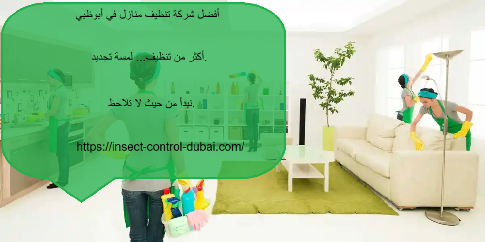 أفضل شركة تنظيف منازل في أبوظبي