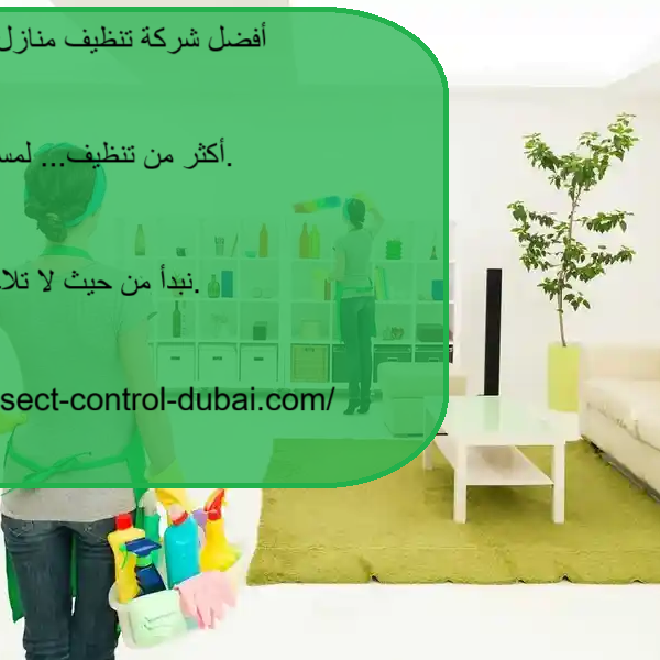 أفضل شركة تنظيف منازل في أبوظبي