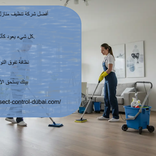 أفضل شركة تنظيف منازل في أم القيوين