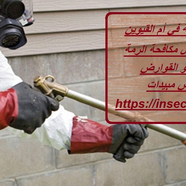 أفضل شركة مكافحة الرمة في أم القيوين