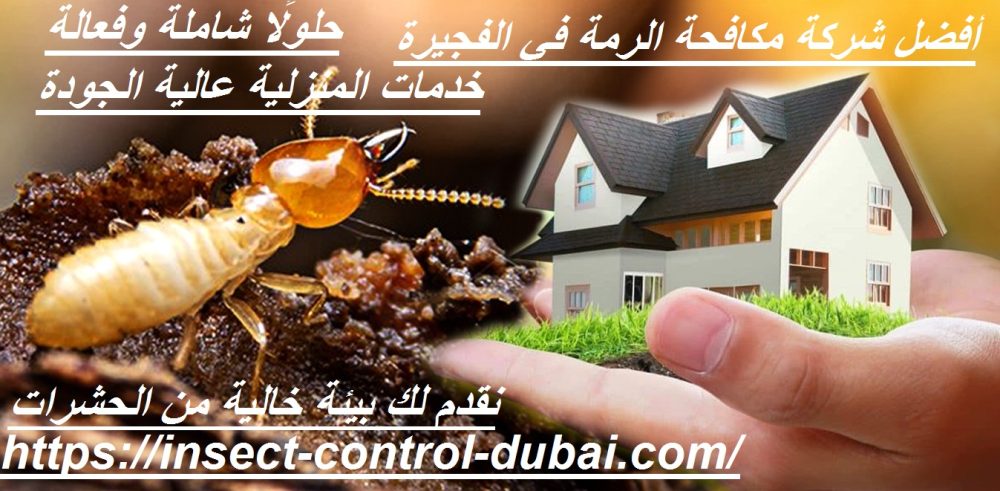 أفضل شركة مكافحة الرمة في الفجيرة