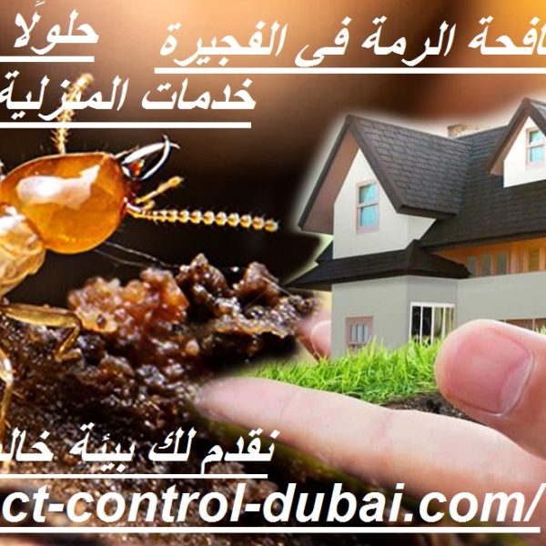 أفضل شركة مكافحة الرمة في الفجيرة