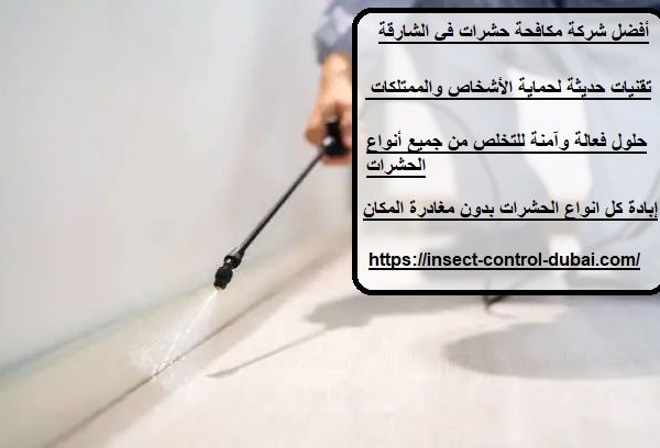أفضل شركة مكافحة حشرات في الشارقة