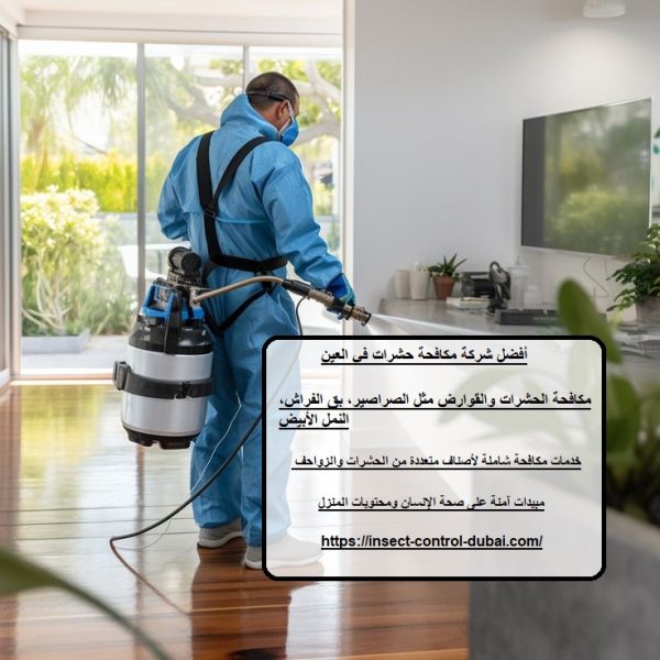 أفضل شركة مكافحة حشرات في العين