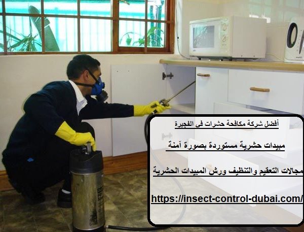 أفضل شركة مكافحة حشرات في الفجيرة
