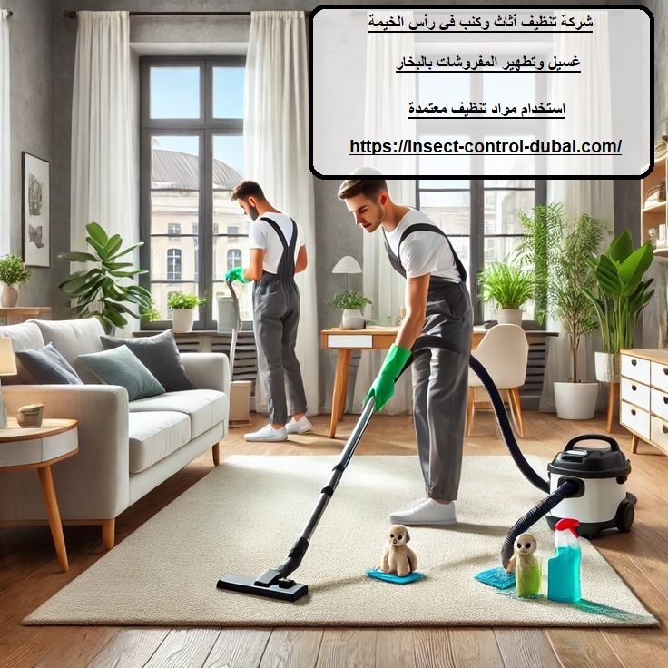 شركة تنظيف أثاث وكنب في رأس الخيمة