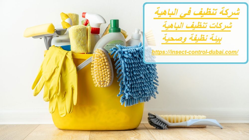 شركة تنظيف في الباهية