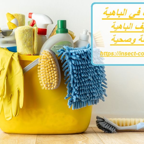 شركة تنظيف في الباهية