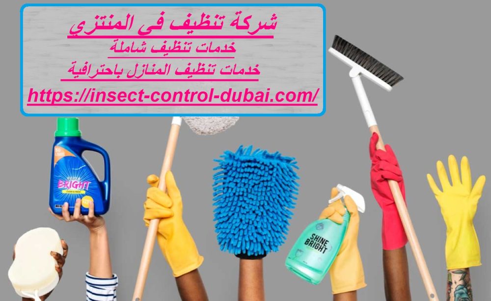 شركة تنظيف في المنتزي